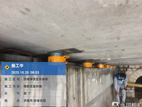 桥梁维护-3
